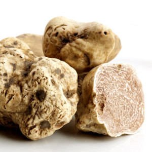 Italian Gourmet Alba truffles