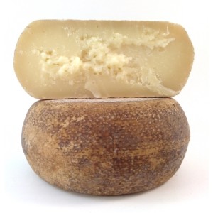 pecorino di pienza Brunello