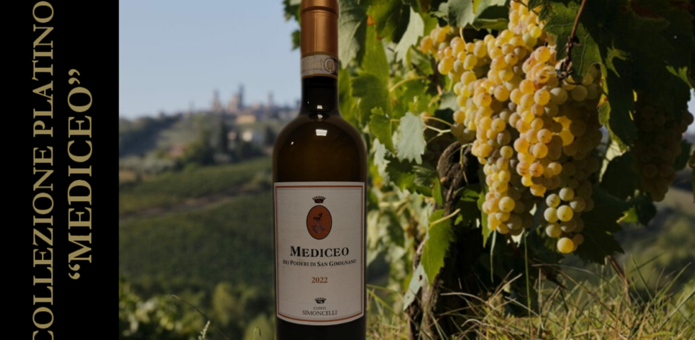 MEDICEO DI S. GIMIGNANO